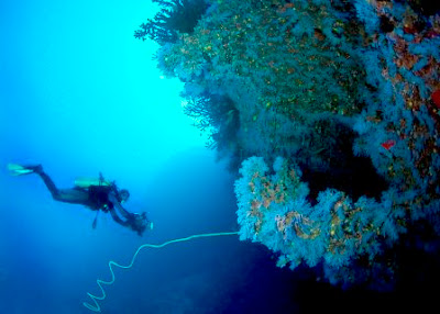 Diver at white wall