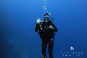 Openwatercourse